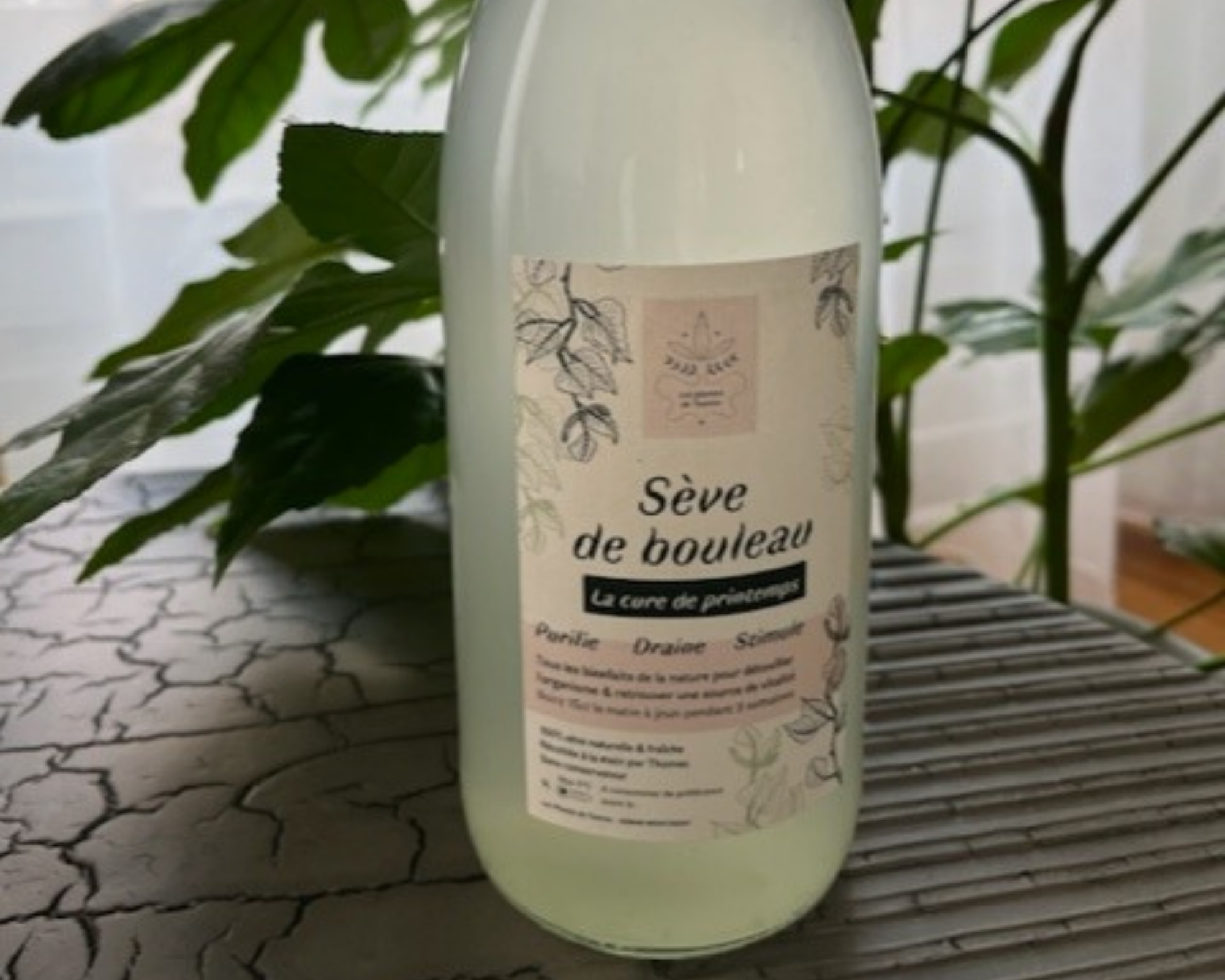 seve-bouleau-huile-essentielle-cbd-roanne-boutique-produits-sante-nature-42-lyon-st-etienne